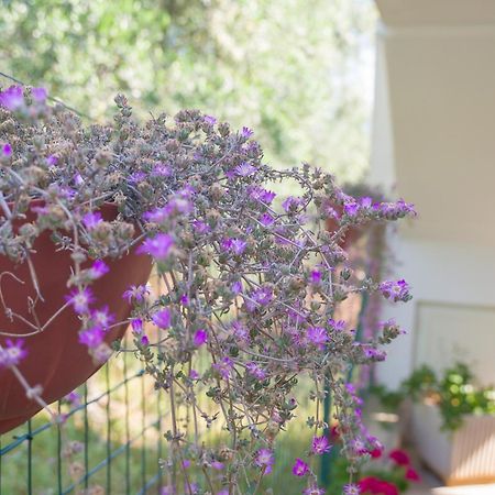 B&B ARBI case vacanze Mattinata Exterior foto