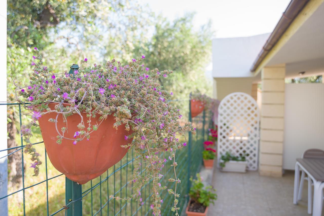 B&B ARBI case vacanze Mattinata Exterior foto