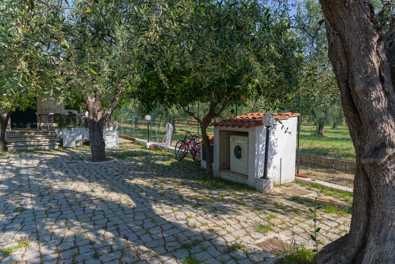 B&B ARBI case vacanze Mattinata Exterior foto